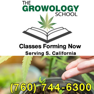 growology school banner